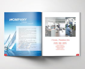 康尼格企业形象解决方案 品牌规划 企业画册设计 产品拍摄 官网设计 平面 书装 朝歌包装设计